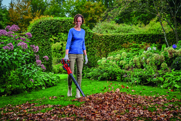 Аккумуляторная воздуходувка Einhell GE-UB 18/250 Li E-Solo (3433542)