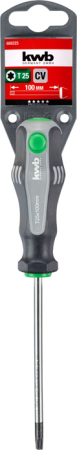 Отвертка Torx 25x100 мм с зажимом kwb by Einhell (669225)