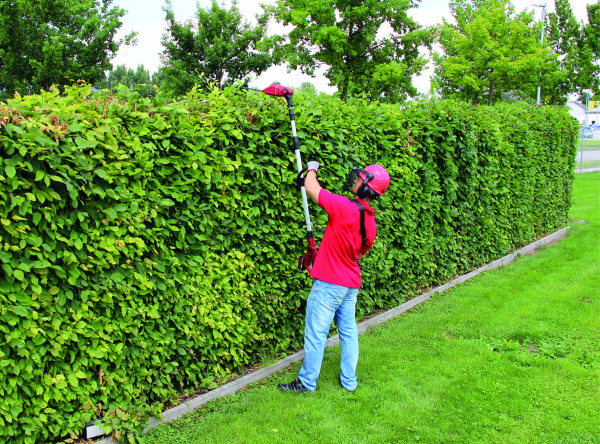 Аккумуляторный высоторез Einhell GE-HC 18 Li T-Solo (3410800)