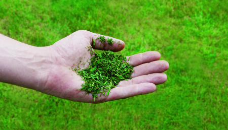 Бензиновая газонокосилка  Einhell GC-PM 56/2 S HW (3404860)