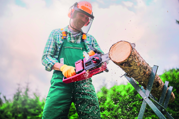 Аккумуляторная цепная пила Einhell GP-LC 36/35 Li-Solo (4501780)