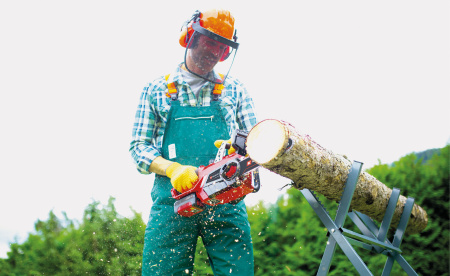 Аккумуляторная цепная пила Einhell GE-LC 18/25 Li-Solo (4501761)