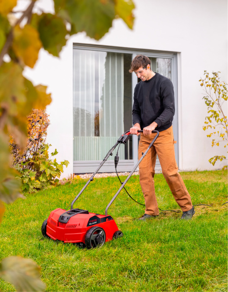 Сетевой скарификатор Einhell GC-ES 1231/1 (3420630)